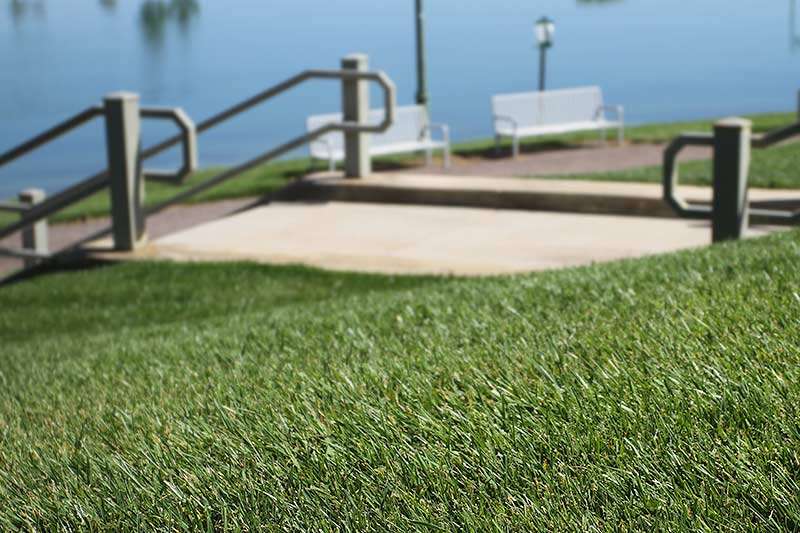 RTF® Water Saver Sod can use 30% less water in landscapes.