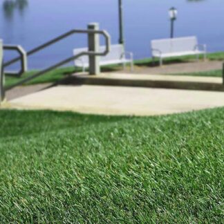 Regenerate Water Wise Sod Tall Fescue