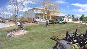 Start to finish big roll sod installation in a front yard