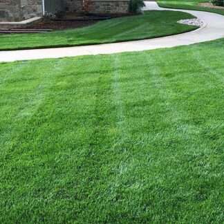 Colorado Blue™ Kentucky bluegrass sod has great turf quality and makes the perfect lawn.. 1