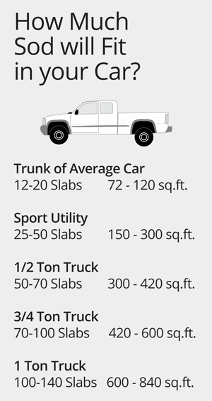 How much sod will fit in your car or truck?