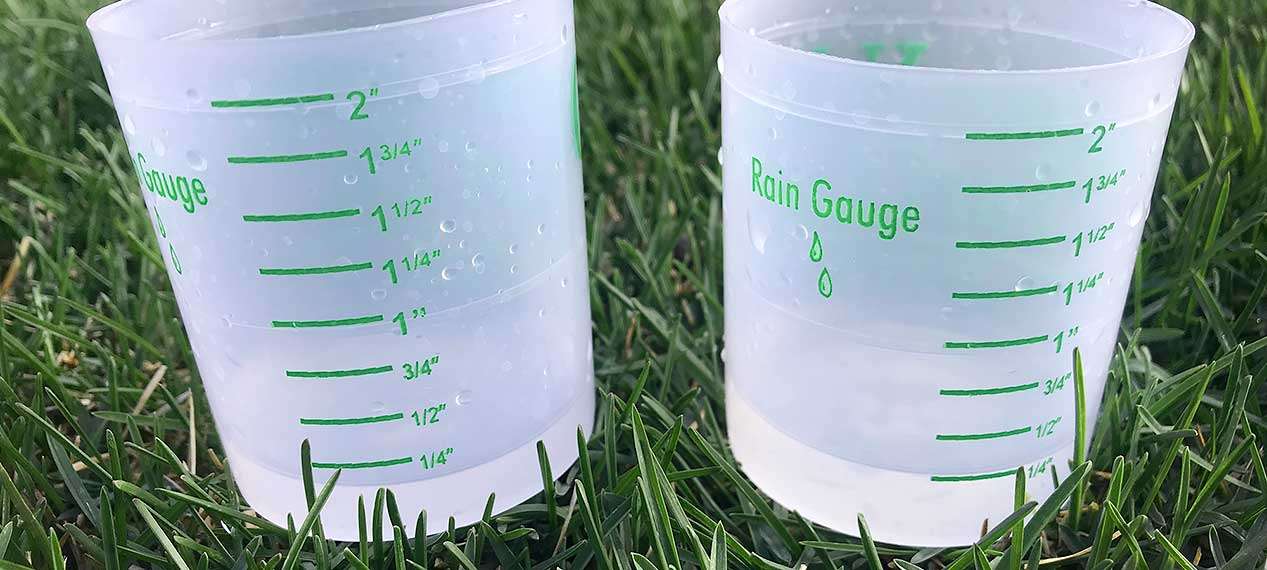 Rain gauges are the best way to test your sprinkler system.