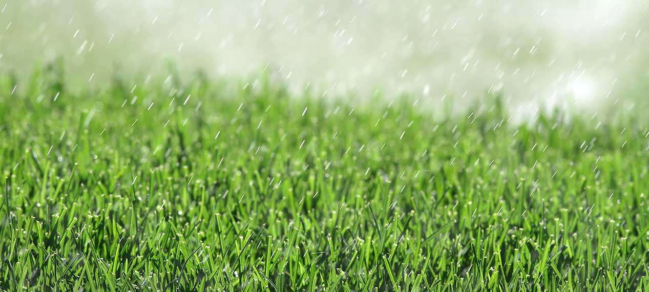 Soak and spray lawn watering is effective because it lets water filter into your lawn.