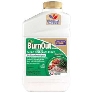 Bonide BurnOut FII Concentrate kills weed and grass on contact.