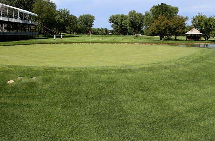 GVT 2000 Short Cut Bluegrass mowed at ½” surrounds 17 island green at Cherry Hills Country Club. Grandstands are set up in the background August 2014 for the BMW Championship which will be held in September 2014 at the club.