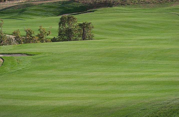 Mowing lines were established a month after sodding on hole 18 at The Club at Ravenna in Littleton, CO.