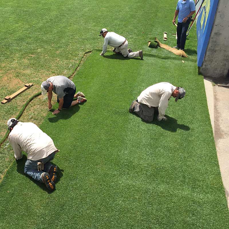 HD Sports 2.0 Lay and Play sod was cut 10’ wide to repair Infinity Park in Glendale, CO.