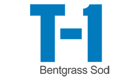 T-1 creeping bentgrass sod is a variety characterized by aggressive tillering, fine texture and dark green color.