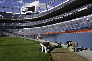 A 8' wide big roll of 100% rye grass is installed at Invesco Stadium in Denver, CO.