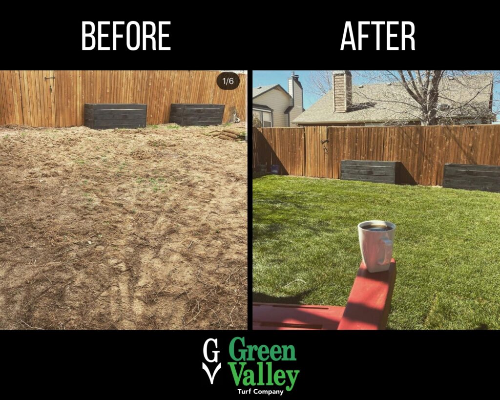 Green Valley Turf - Before and After our intervention