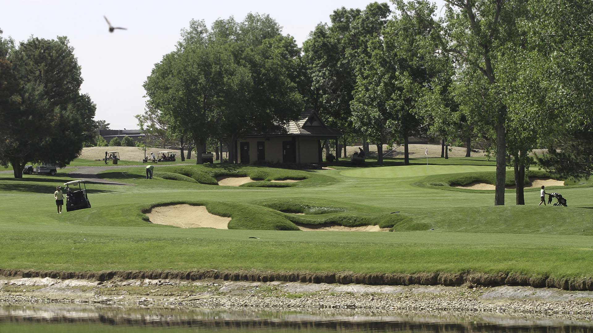 RTF® Water Saver tall fescue sod was selected for all bunker faces and would transition to bluegrass outside the bunker.