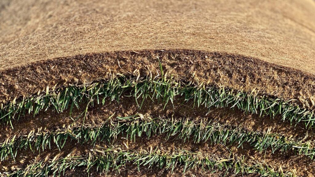 Sod Grown on plastic is very durable and ready to play on.