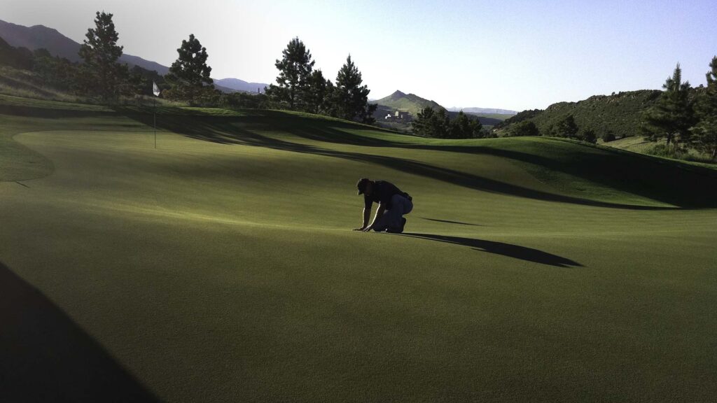 Grown in 100% USGA spec sand, this sod provides a tournament quality surfaces on greens, tees and fairways.