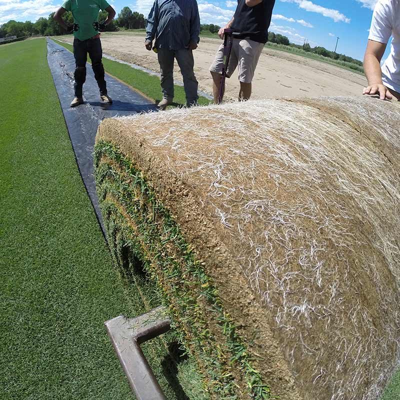 HD-Sports-2.0-Lay-and-Play-Bigroll-GoPro