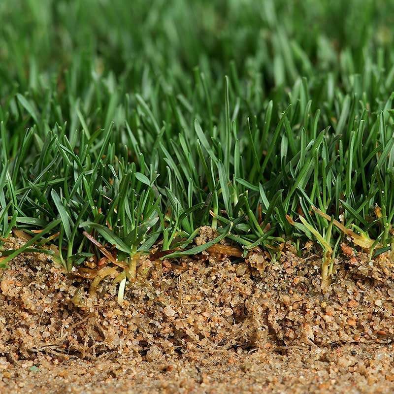 HD-Sports-2.0-sod-sand-side-cut-op